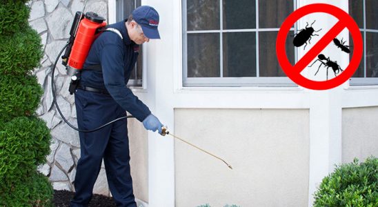 Patnos Gümüşkurt İlaçlama böcek ilaçlama ve haşere kontrolü — ilaclama-tr.com